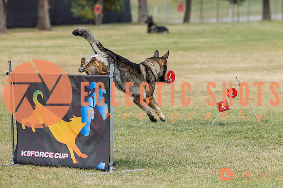 K9ForceCup2025-4081