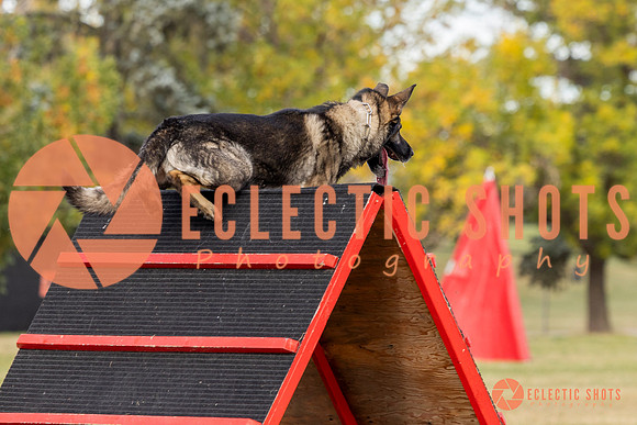 K9ForceCup2025-4119