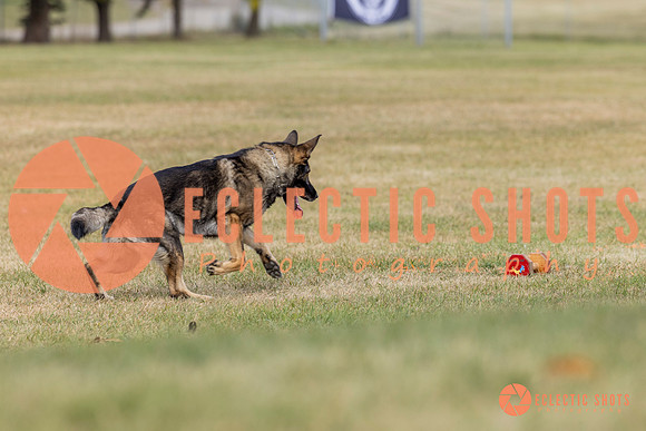 K9ForceCup2025-4124