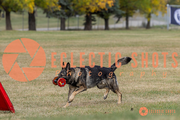K9ForceCup2025-4142