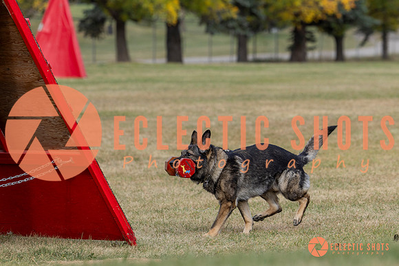 K9ForceCup2025-4144