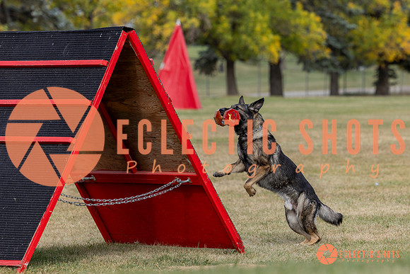 K9ForceCup2025-4147