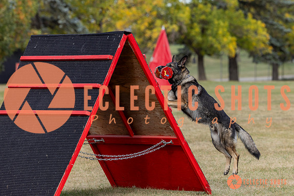 K9ForceCup2025-4149