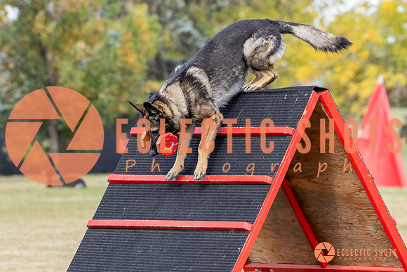 K9ForceCup2025-4164
