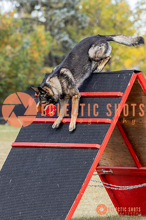K9ForceCup2025-4165