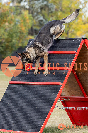 K9ForceCup2025-4166
