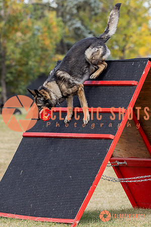 K9ForceCup2025-4167