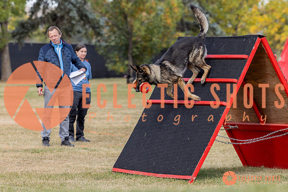 K9ForceCup2025-4169