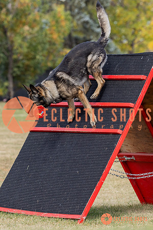 K9ForceCup2025-4168