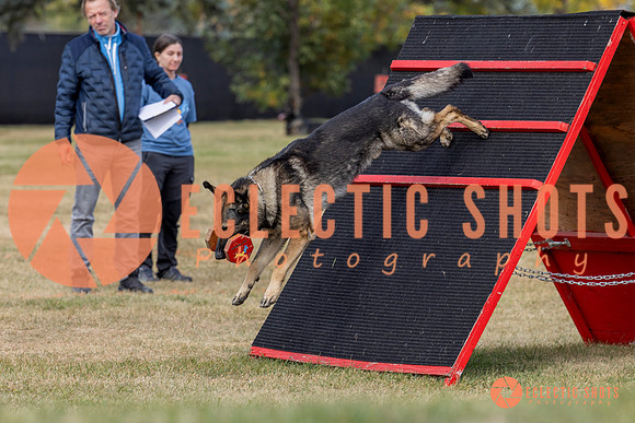K9ForceCup2025-4172