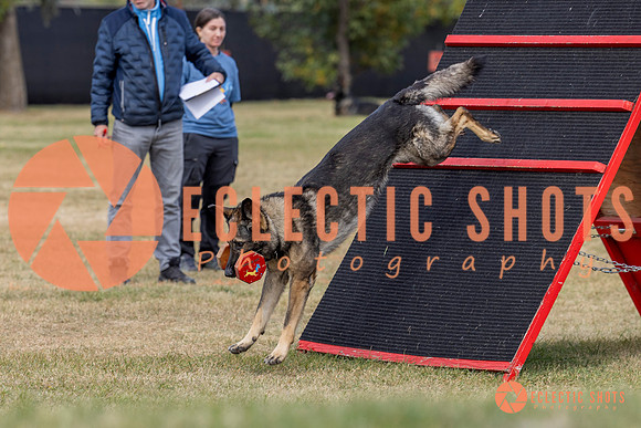 K9ForceCup2025-4173