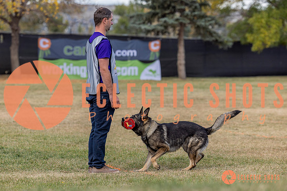 K9ForceCup2025-4193