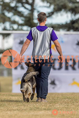 K9ForceCup2025-5116
