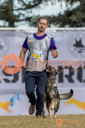 K9ForceCup2025-5142