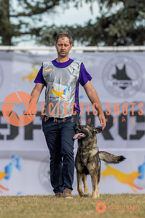 K9ForceCup2025-5136