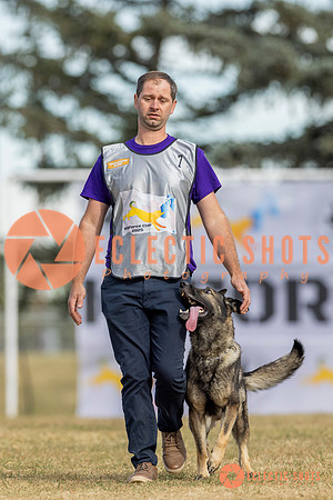 K9ForceCup2025-5166