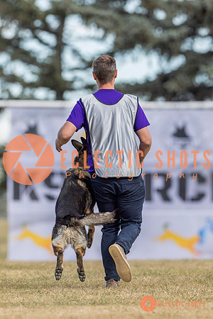 K9ForceCup2025-5177