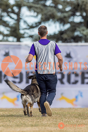 K9ForceCup2025-5182