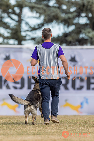K9ForceCup2025-5184