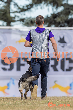 K9ForceCup2025-5193