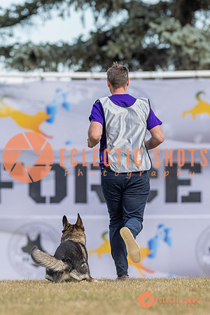 K9ForceCup2025-5201