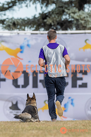 K9ForceCup2025-5203
