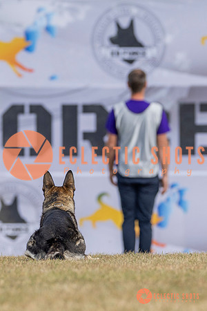 K9ForceCup2025-5209