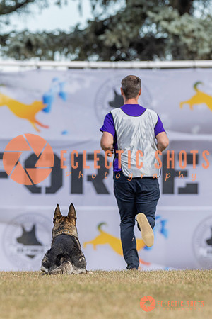 K9ForceCup2025-5207