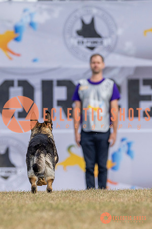K9ForceCup2025-5212
