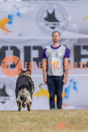 K9ForceCup2025-5213