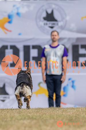 K9ForceCup2025-5214