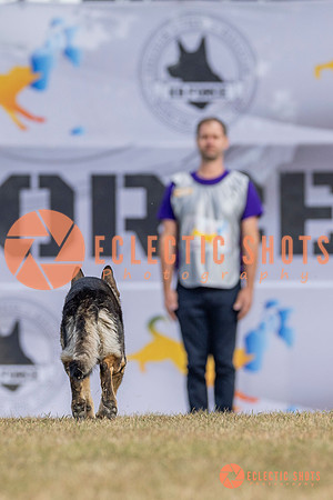 K9ForceCup2025-5216