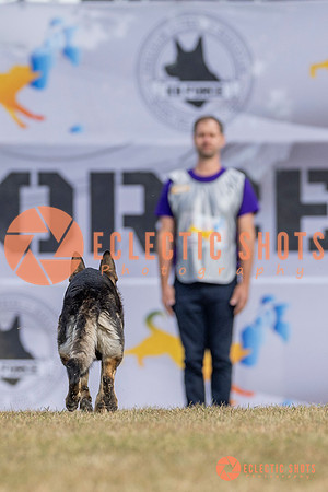 K9ForceCup2025-5217