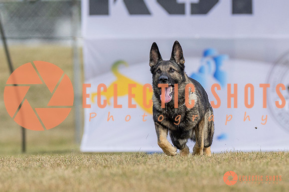 K9ForceCup2025-5254