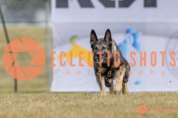 K9ForceCup2025-5256