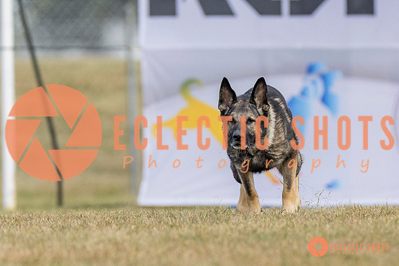 K9ForceCup2025-5258