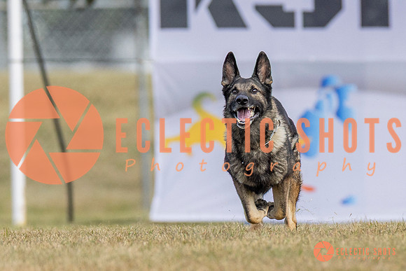 K9ForceCup2025-5260