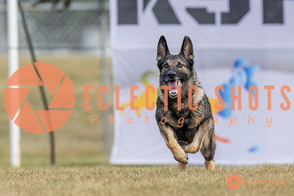 K9ForceCup2025-5261