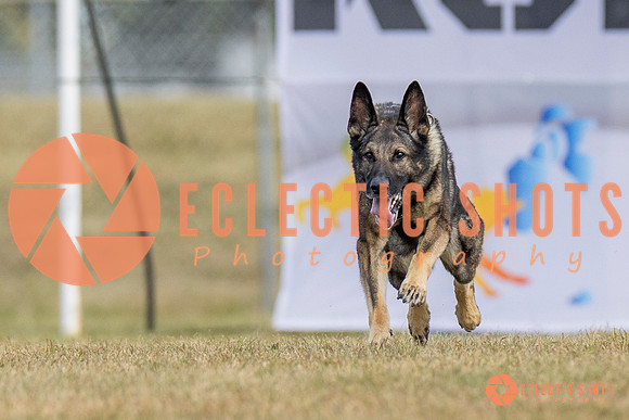 K9ForceCup2025-5263