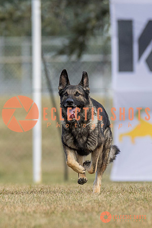 K9ForceCup2025-5267