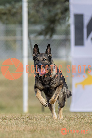 K9ForceCup2025-5268