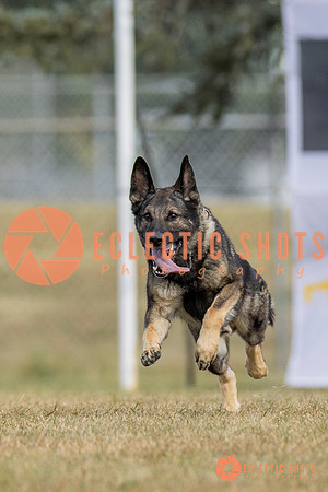 K9ForceCup2025-5269