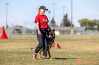 K9ForceCup2025-0946