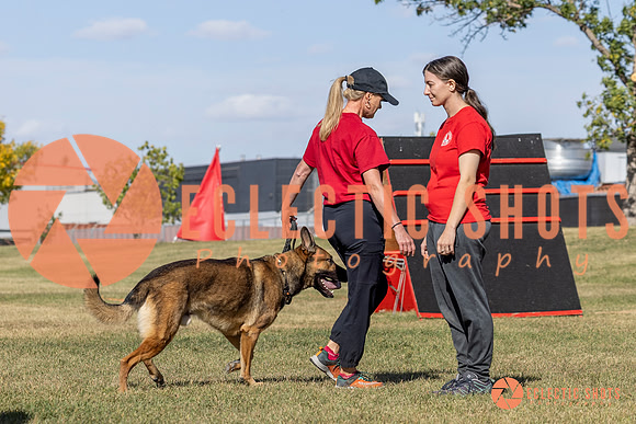 K9ForceCup2025-0949