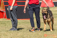 K9ForceCup2025-0953