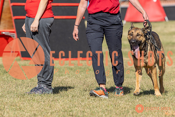K9ForceCup2025-0953