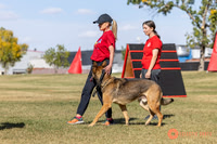 K9ForceCup2025-0960