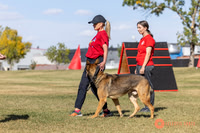 K9ForceCup2025-0961