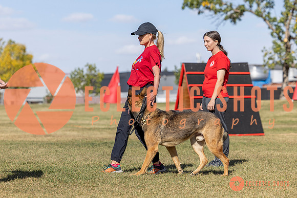 K9ForceCup2025-0961