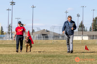 K9ForceCup2025-1035